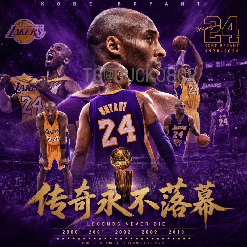 2026世界杯成绩表全解析：各队表现与晋级之路回顾